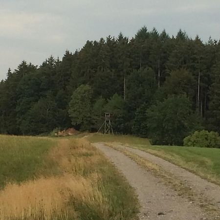 Pension Silberdistel Ühlingen-Birkendorf Esterno foto